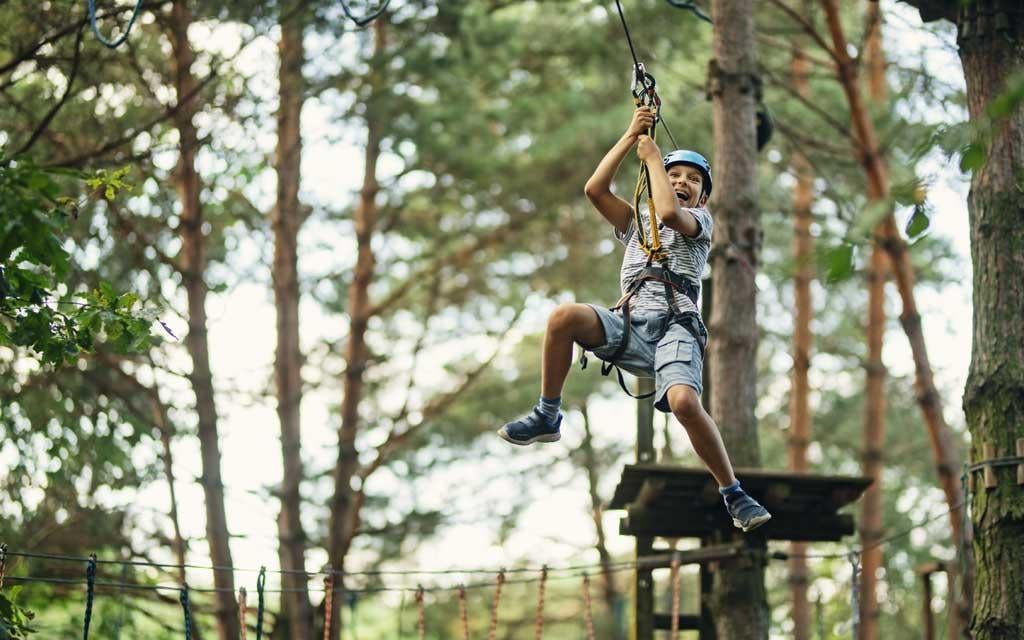 Days Out - Treetop Adventures